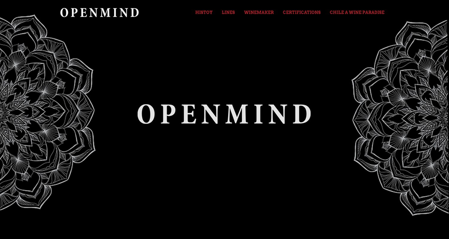 Openmind